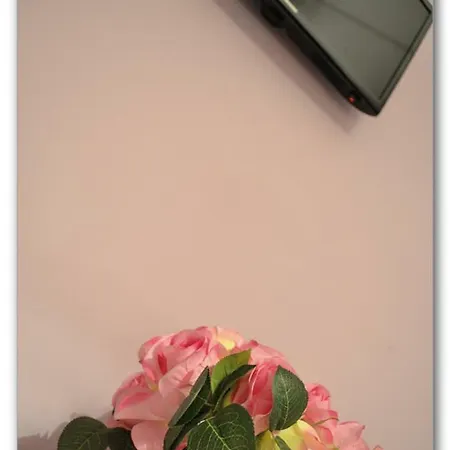 De 60 M² Con 2 Habitación/es Y 2 Baño/s De Uso Privado, En Salerno-centro De La Ciudad Bed and breakfast